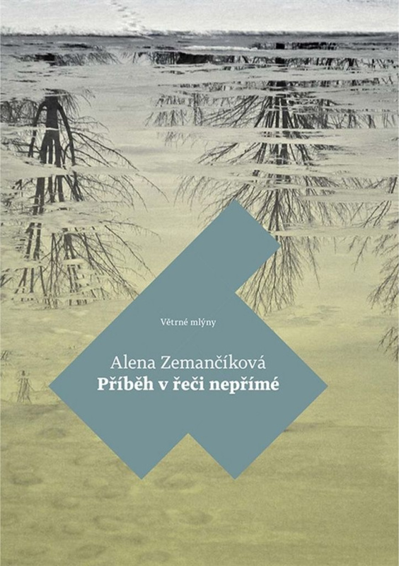 Příběh v řeči nepřímé - Alena Zemančíková - kniha z kategorie Beletrie