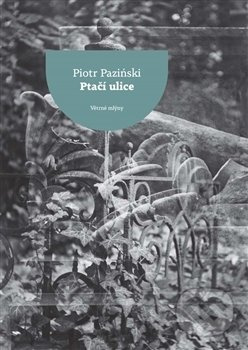 Ptačí ulice - Piotr Paziński
