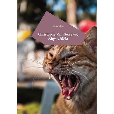 Abys věděla - Christophe van Gerrewey