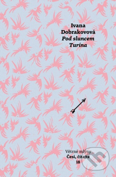 Pod sluncem Turína - Ivana Dobrakovová