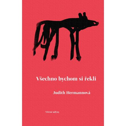 Všechno bychom si řekli - Judith Hermannová