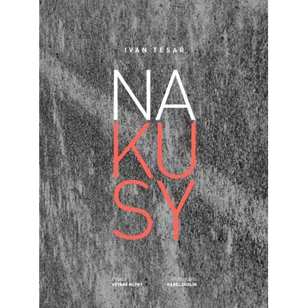Na kusy - Ivan Tesař
