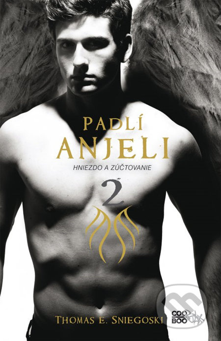 Padlí anjeli 2 (Hniezdo a Zúčtovanie) - Thomas E. Sniegoski - kniha z kategorie Fantasy