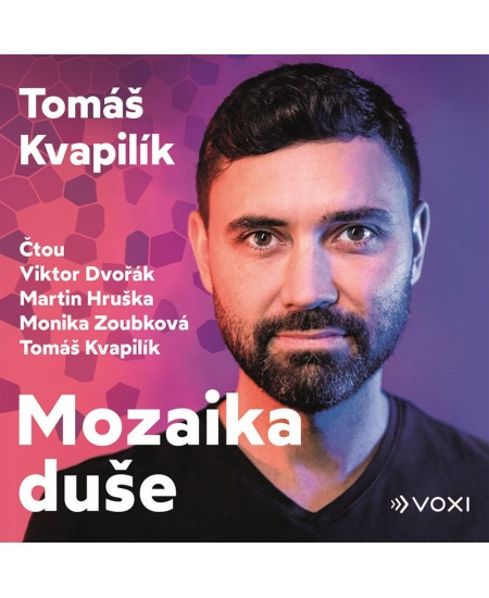 Mozaika duše - Tomáš Kvapilík