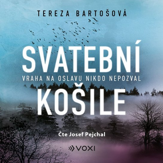 Svatební košile, mp3 - Tereza Bartošová