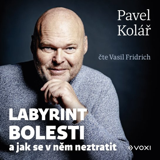 Labyrint bolesti, mp3 - Pavel Kolář