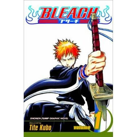 Bleach 1: The Death and the Strawberry - Tite Kubo