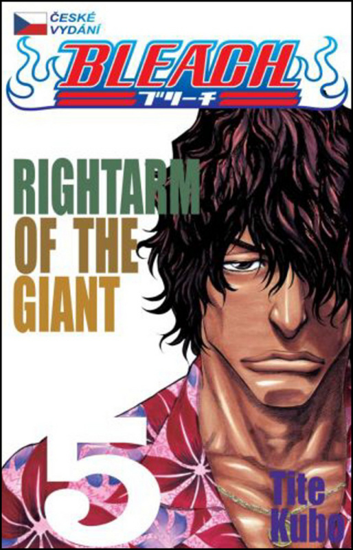 Bleach 5: Rightarm of the Giant - Tite Kubo