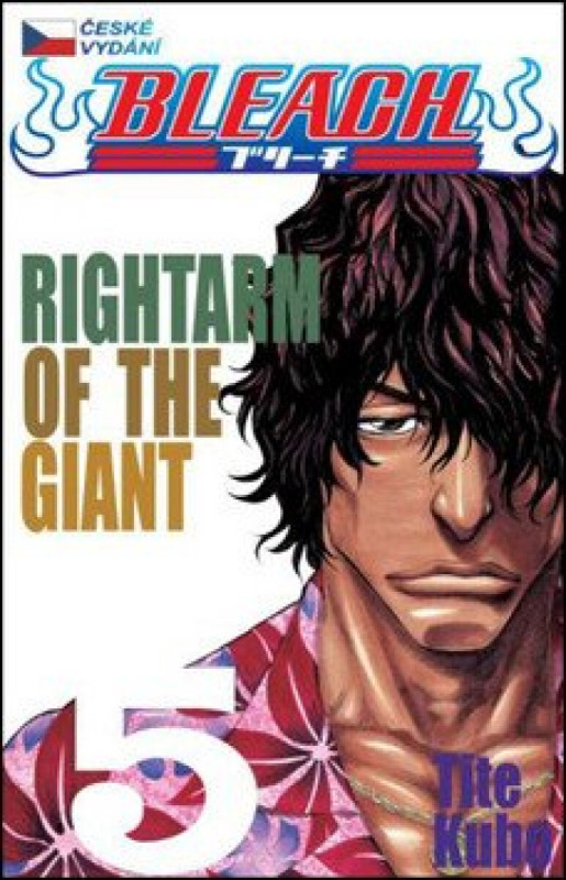 Bleach 5: Rightarm of the Giant - Tite Kubo