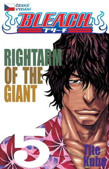 Bleach 5: Rightarm of the Giant - Tite Kubo