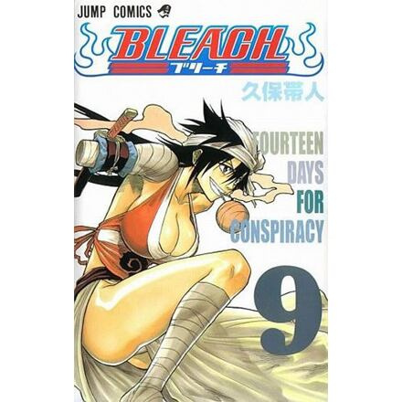 Bleach 9: Fourteen Days for Conspiracy - Tite Kubo