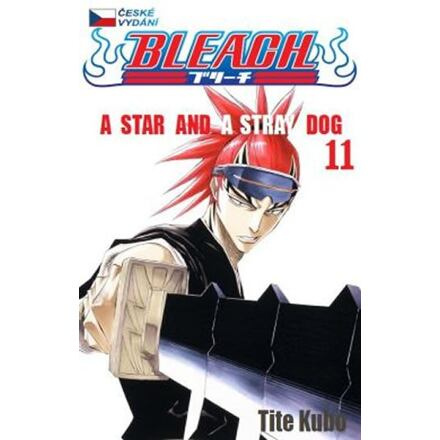 Bleach 11: A Star and a Stray Dog - Tite Kubo