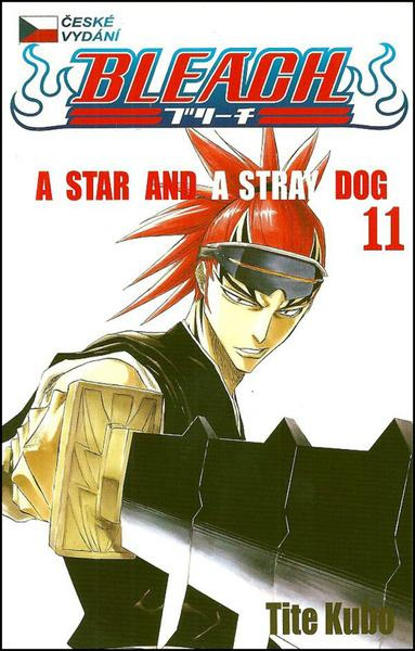 Bleach 11: A Star and a Stray Dog - Tite Kubo