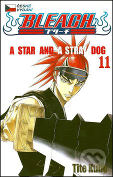 Bleach 11: A Star and a Stray Dog - Tite Kubo