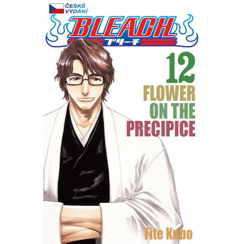 Bleach 12: Flower on the Precipice - Tite Kubo