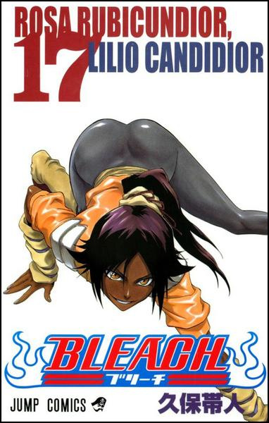 Bleach 17-Rosa Rubicundior, Lilio Candidior - Tite Kubo