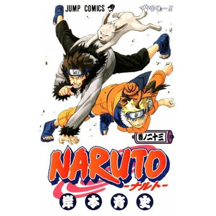 Naruto 23: Potíže - Masaši Kišimoto