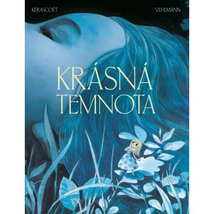 Krásná temnota - Fabien Vehlmann