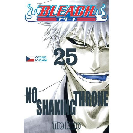 Bleach 25: No Shaking Throne - Tite Kubo