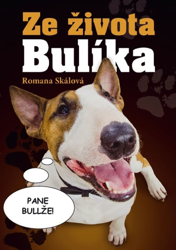 Ze života Bulíka - Romana Skálová - kniha z kategorie Beletrie