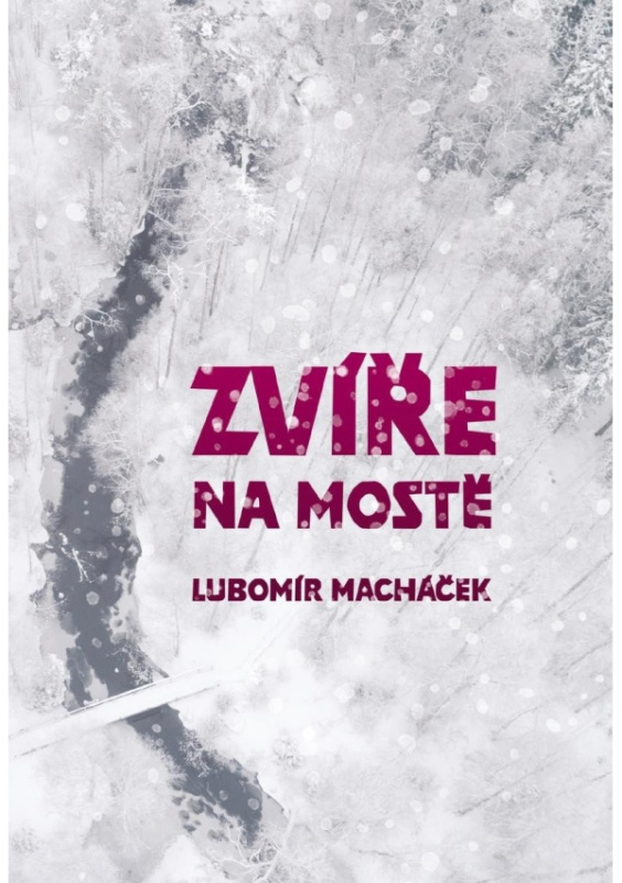 Zvíře na mostě - Lubomír Macháček