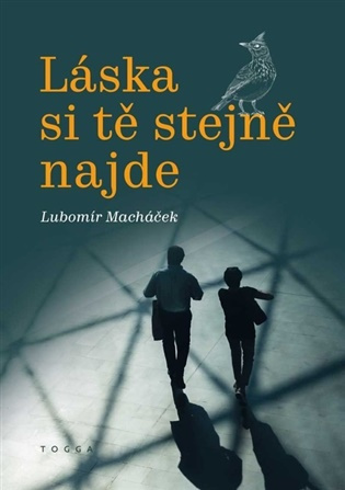 Láska si tě stejně najde -  Lubomír Macháček