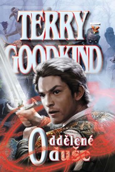 Oddělené duše XIV. (Richard a Kahlan III.) - Terry Goodkind