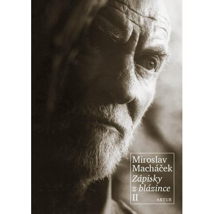 Zápisky z blázince II. - Miroslav Macháček