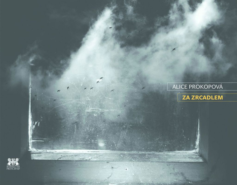 Za zrcadlem - Alice Prokopová