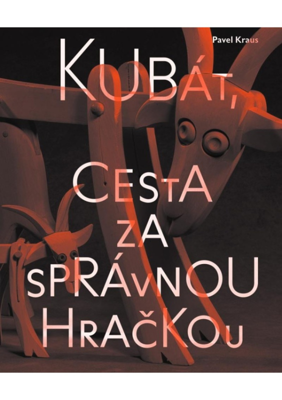 Kubát, cesta za správnou hračkou - Pavel Kraus