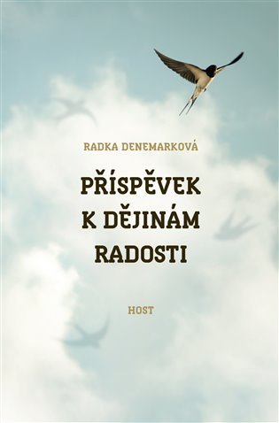 Příspěvek k dějinám radosti - Radka Denemarková