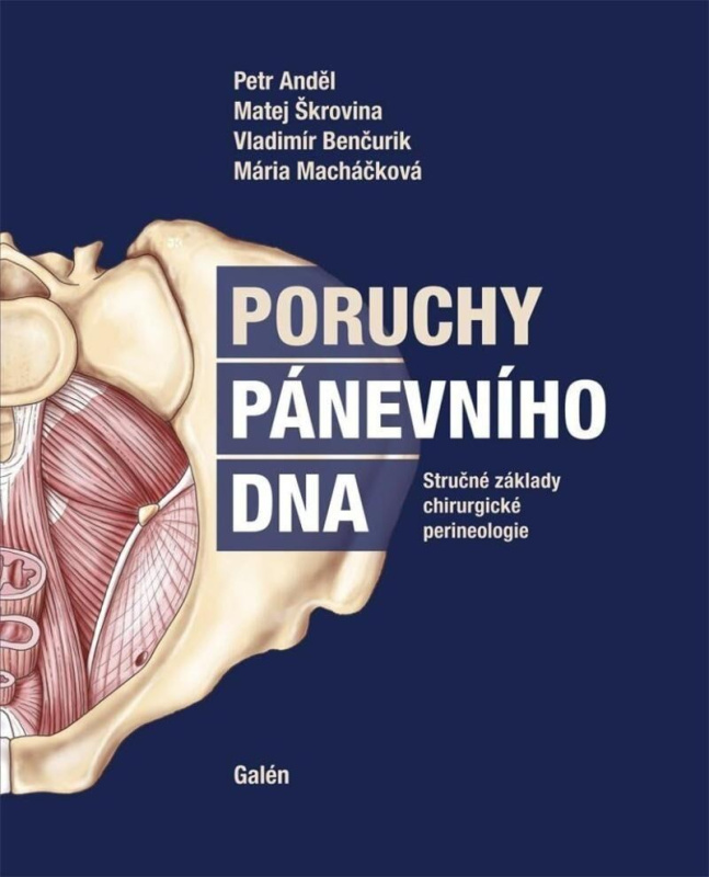 Poruchy pánevního dna - Petr Anděl, Matěj Škrovina, Vladimír Benčurik, Mária Macháčková