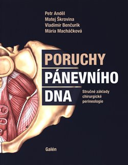 Poruchy pánevního dna - Petr Anděl, Matěj Škrovina, Vladimír Benčurik, Mária Macháčková