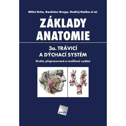 Základy anatomie 3a - Trávicí a dýchací systém