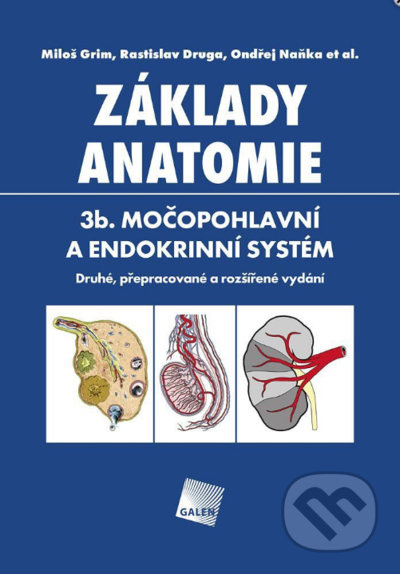 Základy anatomie. 3b - Močopohlavní a endokrinní systém