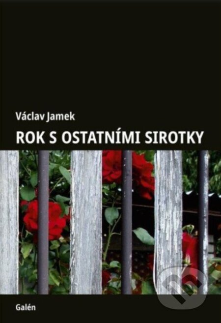 Rok s ostatními sirotky - Václav Jamek - kniha z kategorie Společenská beletrie