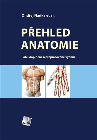 Přehled anatomie