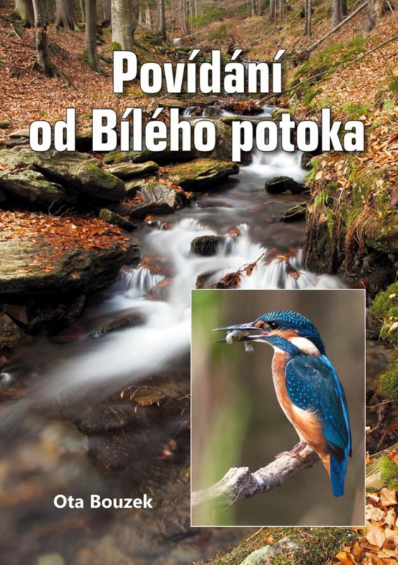 Povídání od Bílého potoka - Ota Bouzek - kniha z kategorie Beletrie