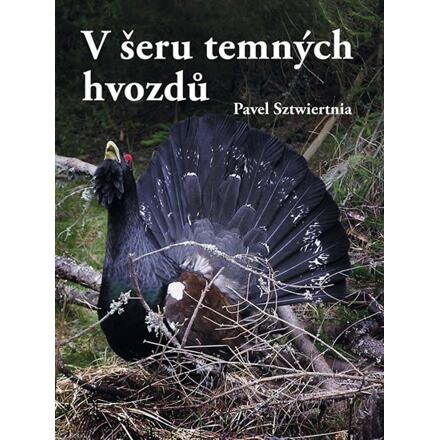 V šeru temných hvozdů - Pavel Sztwiertnia