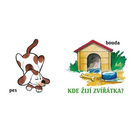 Kde žijí zvířátka?