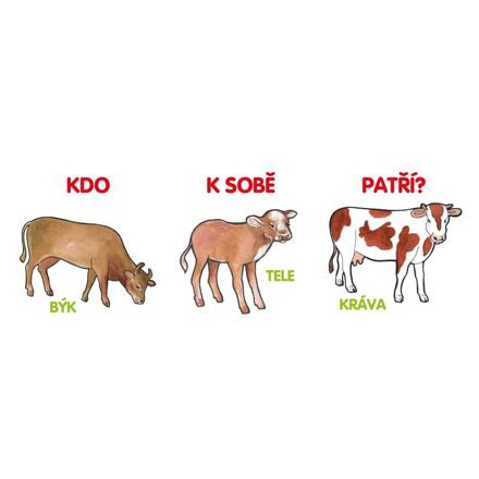 Kdo k sobě patří?