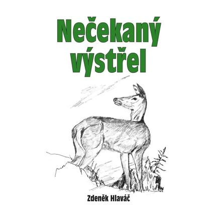 Nečekaný výstřel