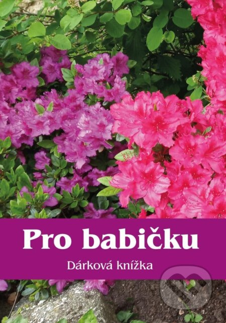 Pro babičku - Dárková knížka