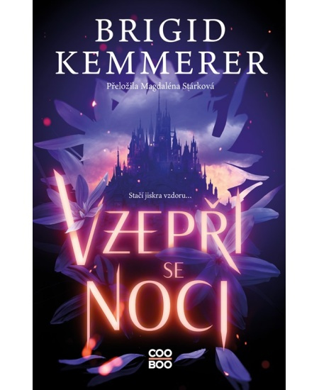 Vzepři se noci - Brigid Kemmerer