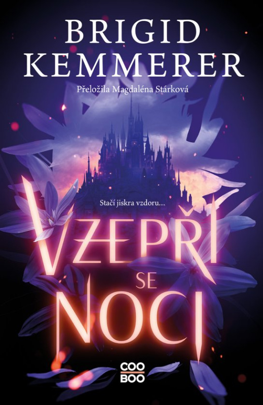 Vzepři se noci - Brigid Kemmerer
