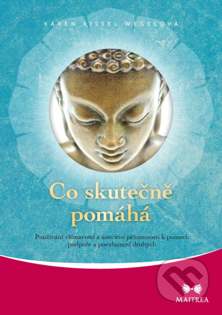 Co skutečně pomáhá (Používání všímavosti a soucitné přítomnosti k pomoci, podpoře a povzbuzování druhých) - kniha z kategorie Psychologie