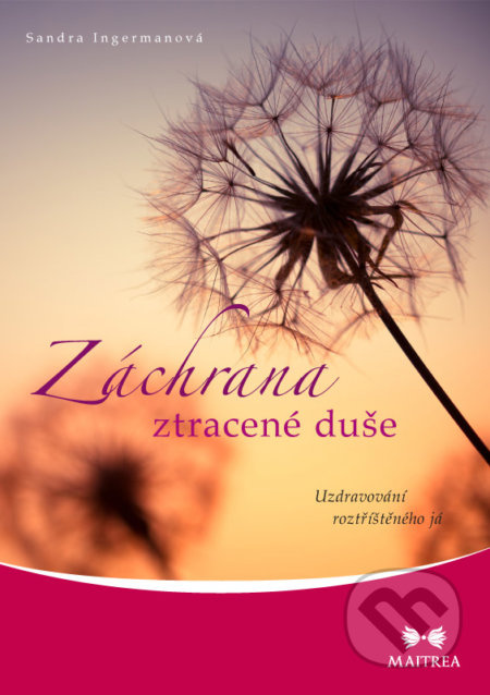 Záchrana ztracené duše - Uzdravování roztříštěného já - Sandra Ingermanová