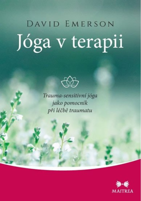 Jóga v terapii - David Emerson