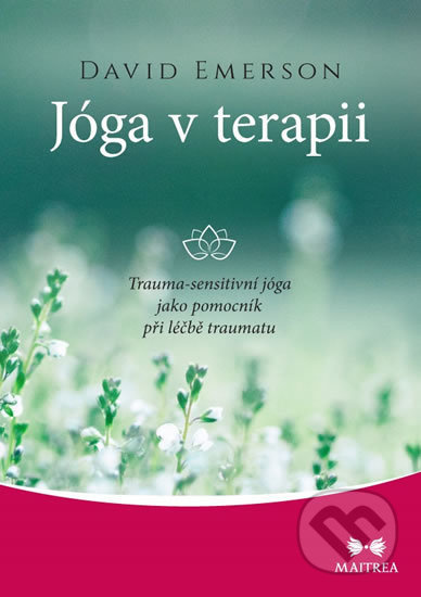 Jóga v terapii - David Emerson