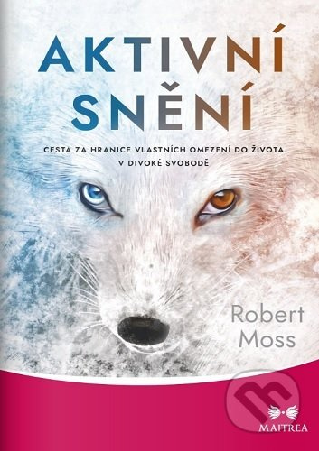 Aktivní snění - Robert Moss